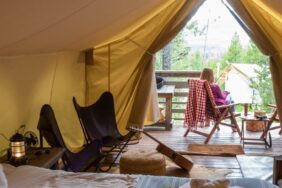 5-sterren campings