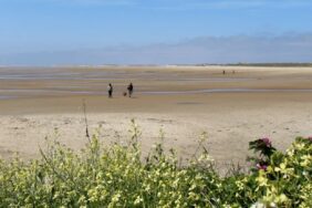 Kamperen op Terschelling