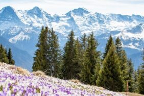Kamperen in Berner Oberland