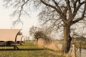 Pop-up campings