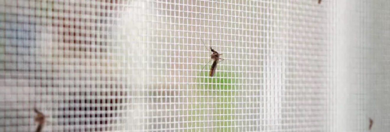 insectenbescherming voor zijdelings openen, 295x265 cm Klamboedeur