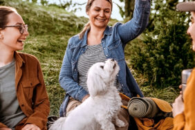 Zorgeloos op vakantie met je hond