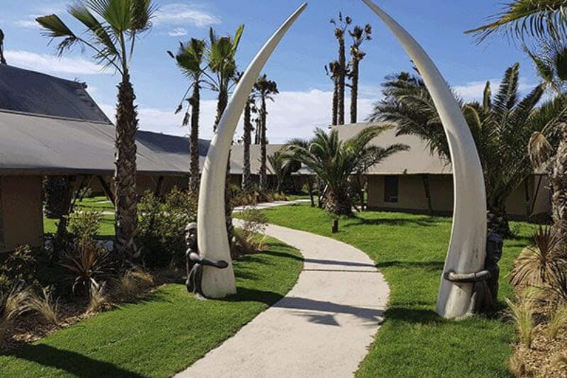 Camping El Delfin Verde