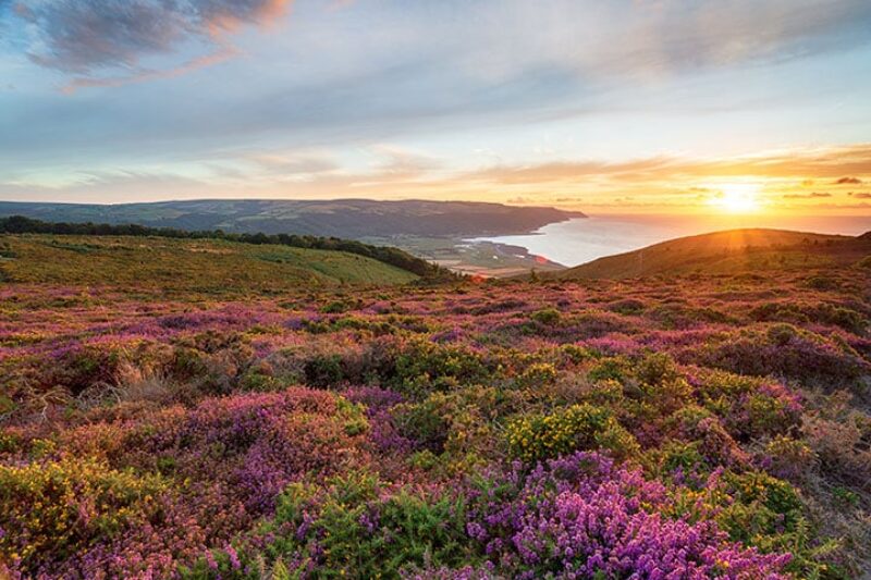 Exmoor