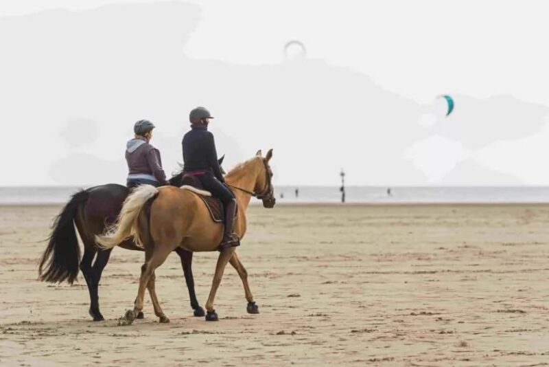 campings voor paardenliefhebbers