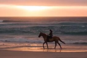 Top 10 fantastische campings voor paardenliefhebbers